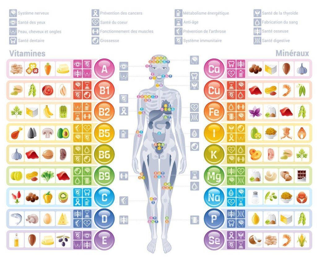 micronutriments roles