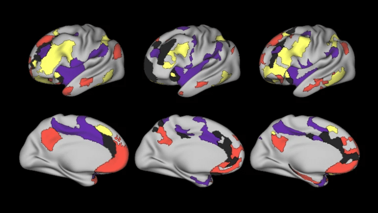 reseau saillance depression