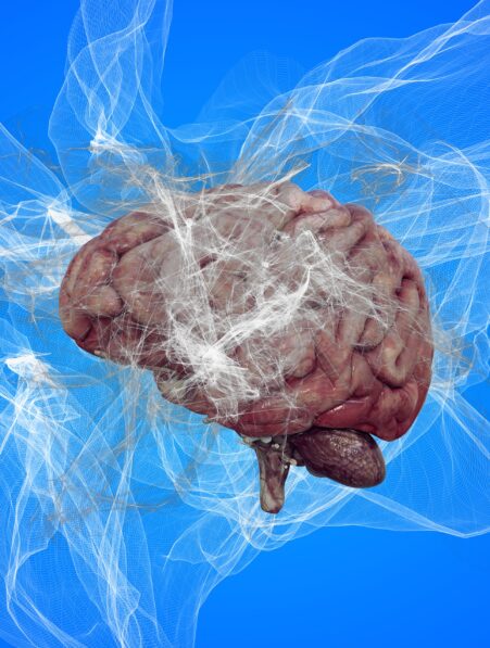 Schizophrénie une étude révèle les perturbations du signal cérébral à l origine des voix