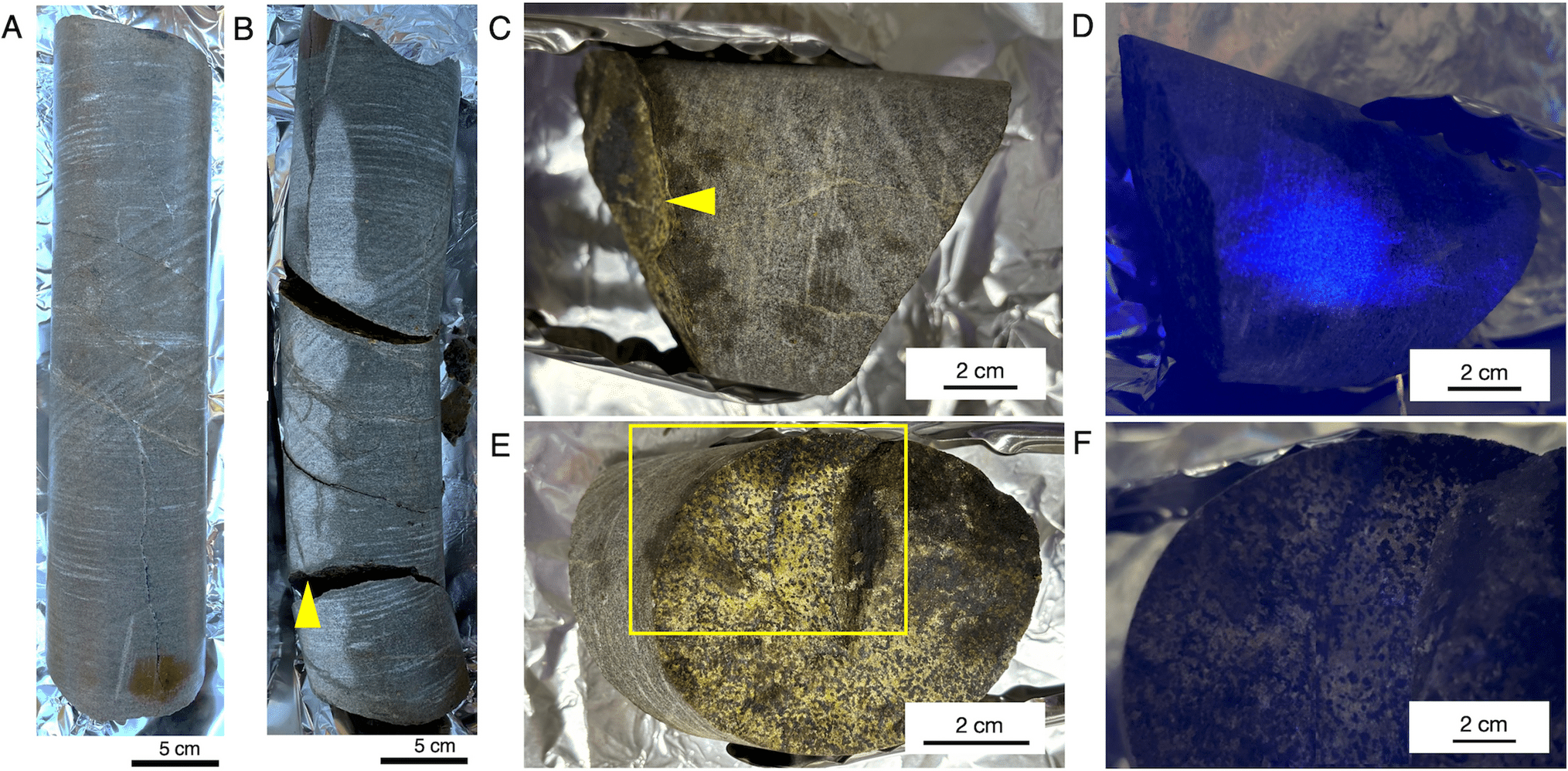 échantillons anciens de microbes 2 milliards d'années carottage