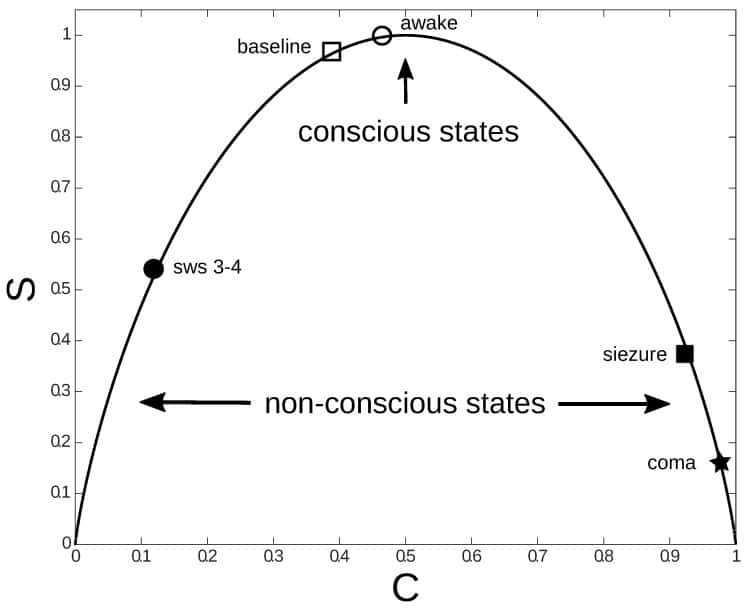 entropy conscience