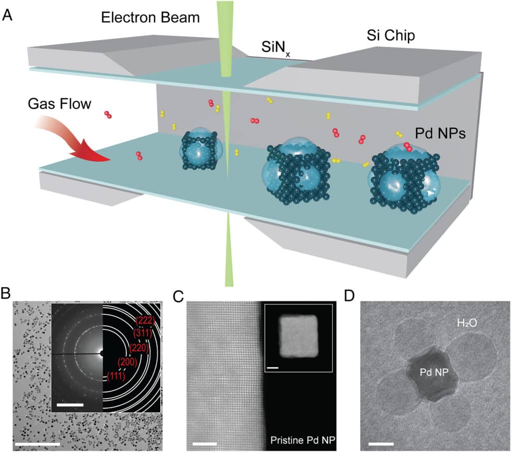 nanobulles eau