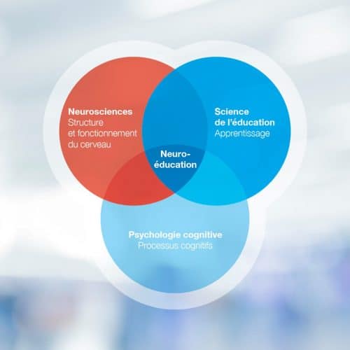 neuroeducation discipline
