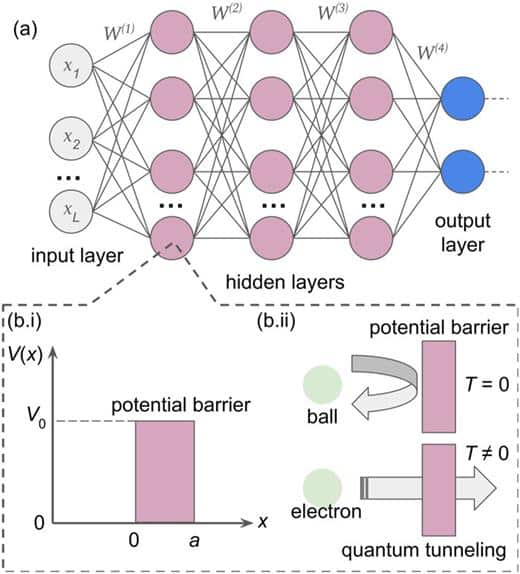 structure reseau neurone