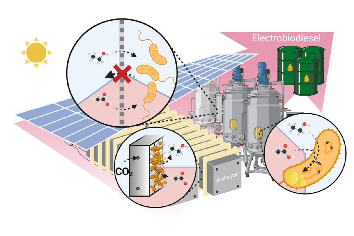 Révolution énergétique des scientifiques développent un biodiesel électrique qui convertit le CO2 en énergie surpuissante