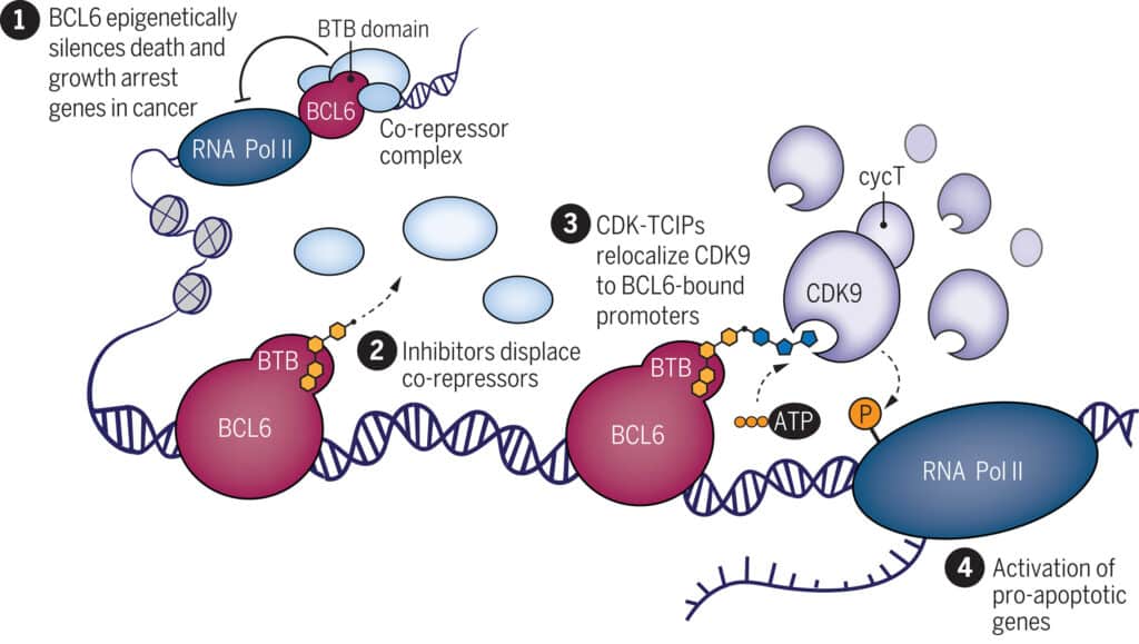 colle moleculaire cancer