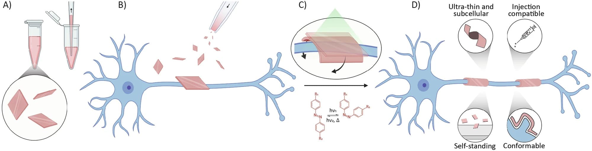 feuilles microscopiques utilisees entourer axones dendrites neurones pourraient traiter sclerose en plaques couv