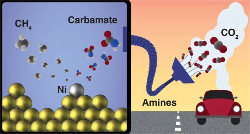 processus de conversion du carbamate en méthane