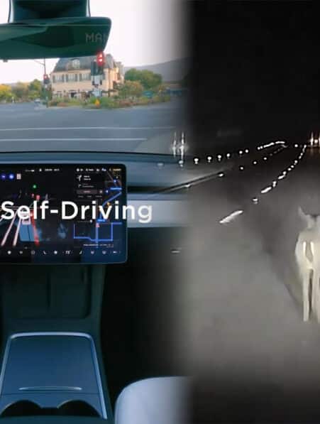 tesla mode conduite entierement autonome percute cerf sans ralentir ni arreter couv