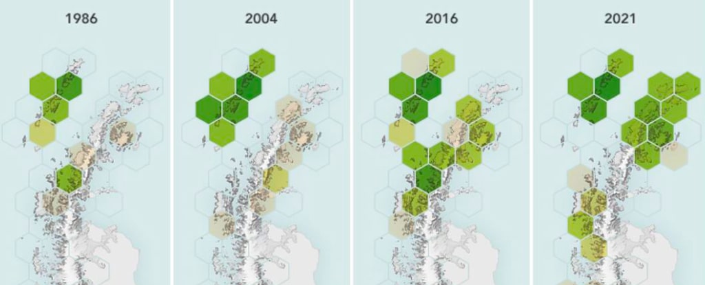 Comparaison de la progression du développement du paysage verdoyant d'Antarctique