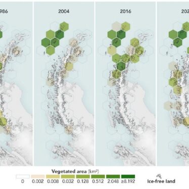 L Antarctique se recouvre de plus en plus de végétation en 35 ans