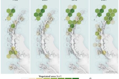 L Antarctique se recouvre de plus en plus de végétation en 35 ans