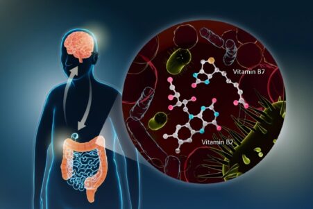 La connexion intestin cerveau pourrait conduire à un traitement simple et efficace de la maladie de Parkinson suggère une étude