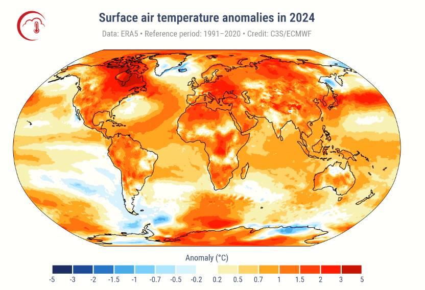 2024 temperature