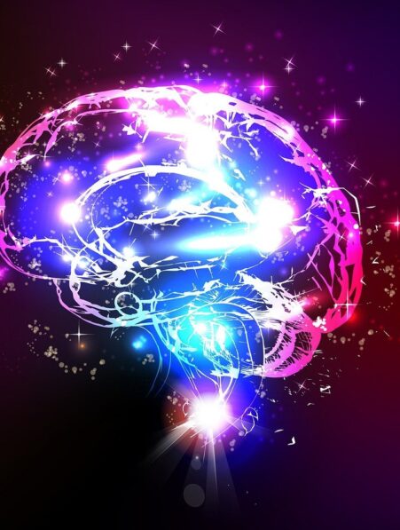 cerveau auto nettoie sommeil