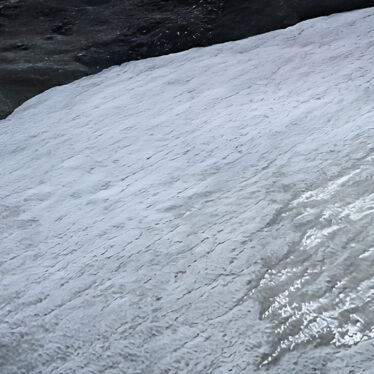 fonte glaces devoile foret fossilisee a 3100 metres couv