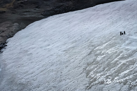 fonte glaces devoile foret fossilisee a 3100 metres couv