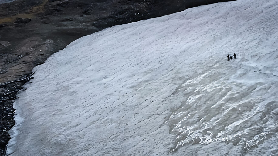 fonte glaces devoile foret fossilisee a 3100 metres couv