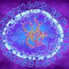 metapneumovirus humain propage chine souleve inquietudes couv