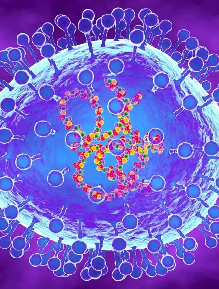 metapneumovirus humain propage chine souleve inquietudes couv