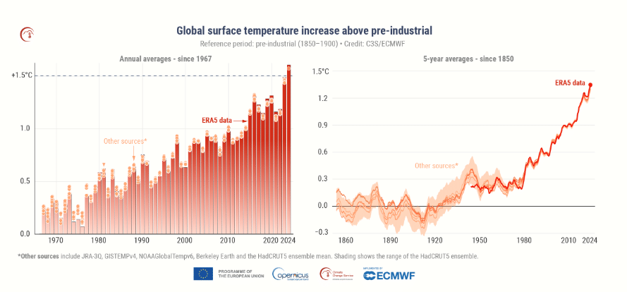 temperature 2024