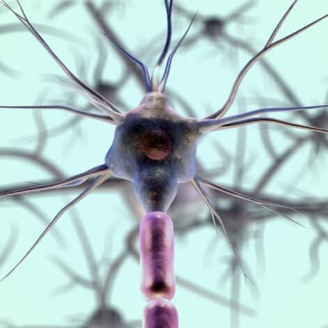 Des scientifiques proposent une théorie sur la principale cause de la maladie d'Alzheimer dans une nouvelle étude