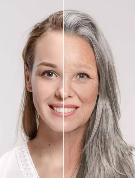 antioxydant naturel grisonnement cheveux