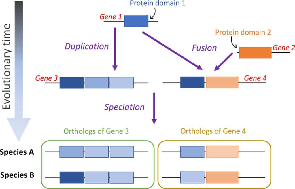 code genetique eteint