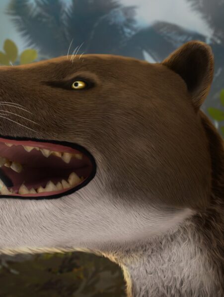 predateur egypte chaine alimentaire