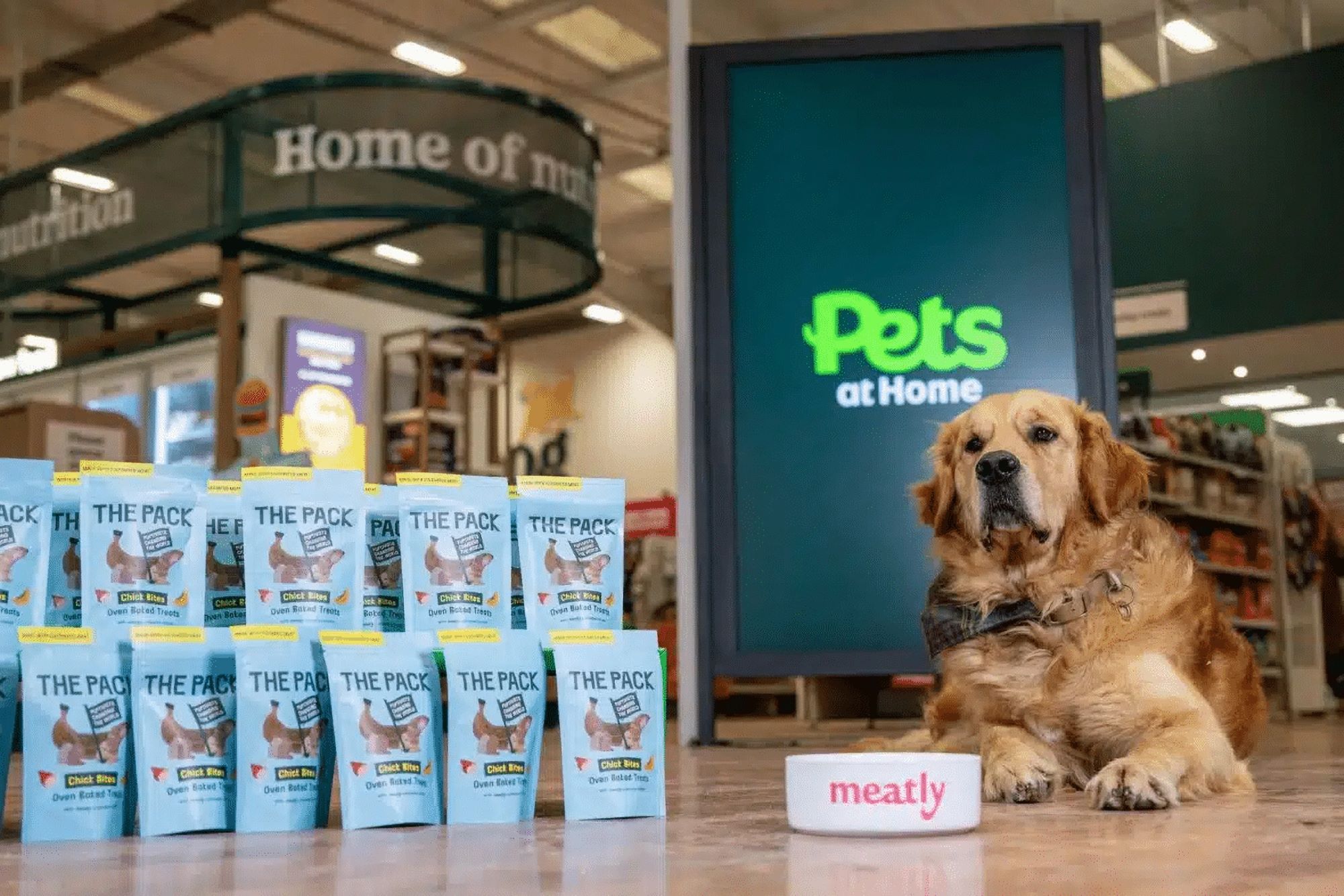 Le premier snack pour chiens cultivé en laboratoire bouscule l’industrie du petfood