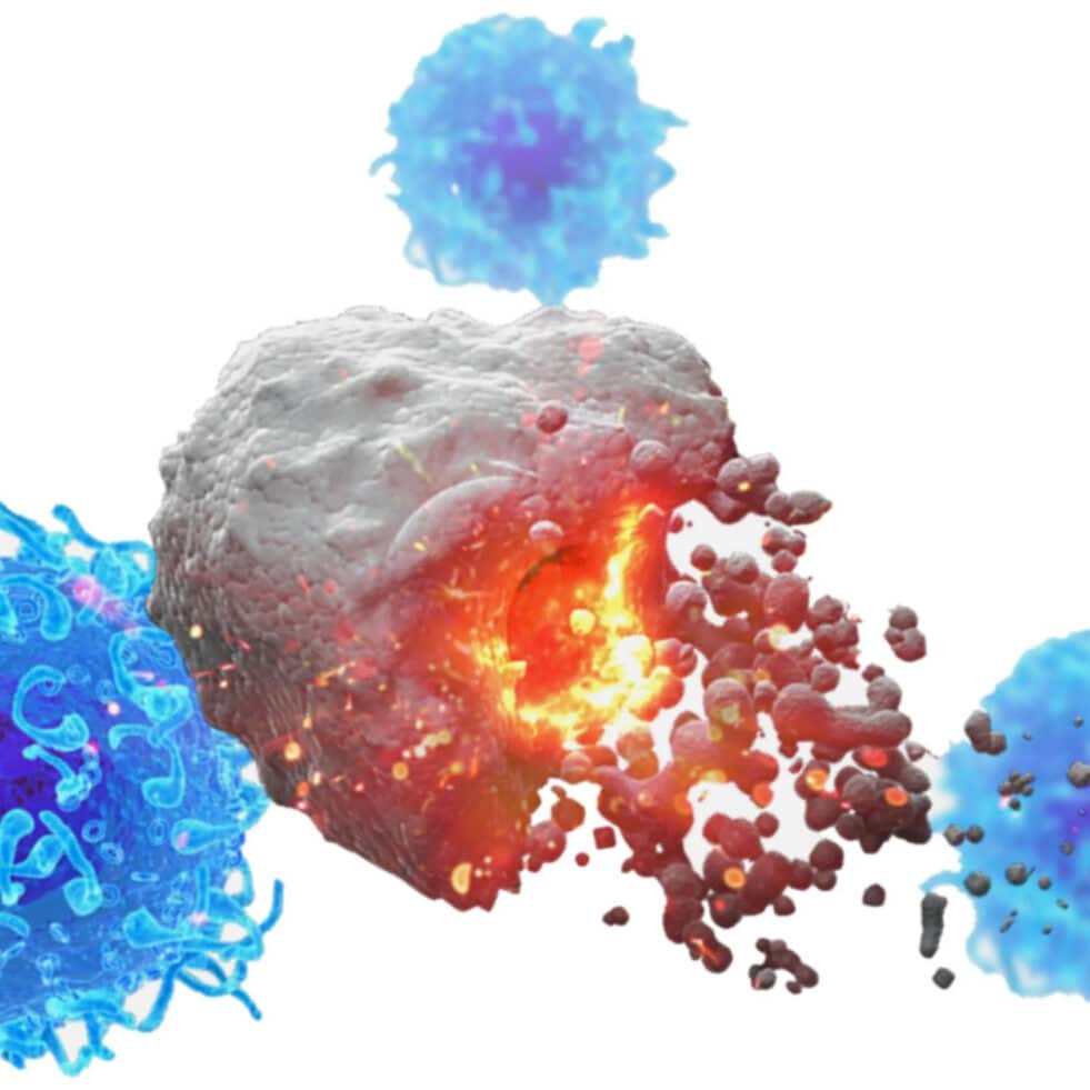 cancers vaccin approche
