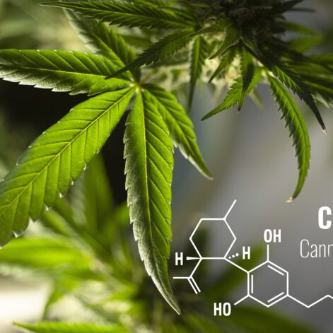 cannabidiol cbd formes