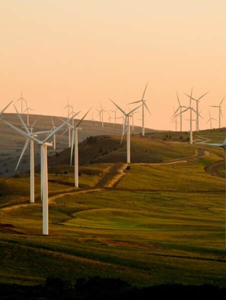 electricite energie renouvelable mondiale