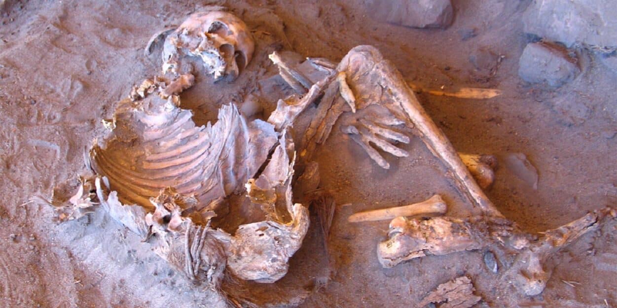 Des momies vieilles de 7 000 ans éclairent sur l'histoire génétique d'un peuple oublié