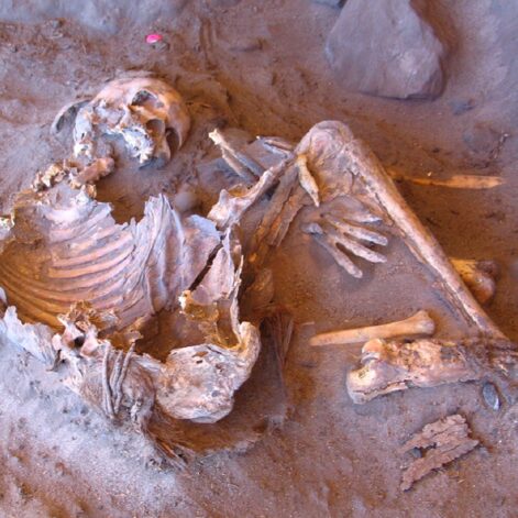 Des momies vieilles de 7 000 ans éclairent sur l'histoire génétique d'un peuple oublié