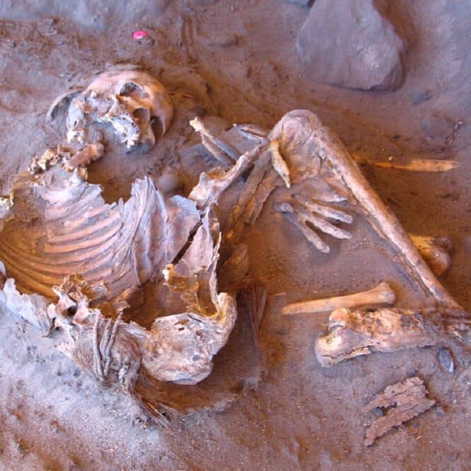 Des momies vieilles de 7 000 ans éclairent sur l'histoire génétique d'un peuple oublié