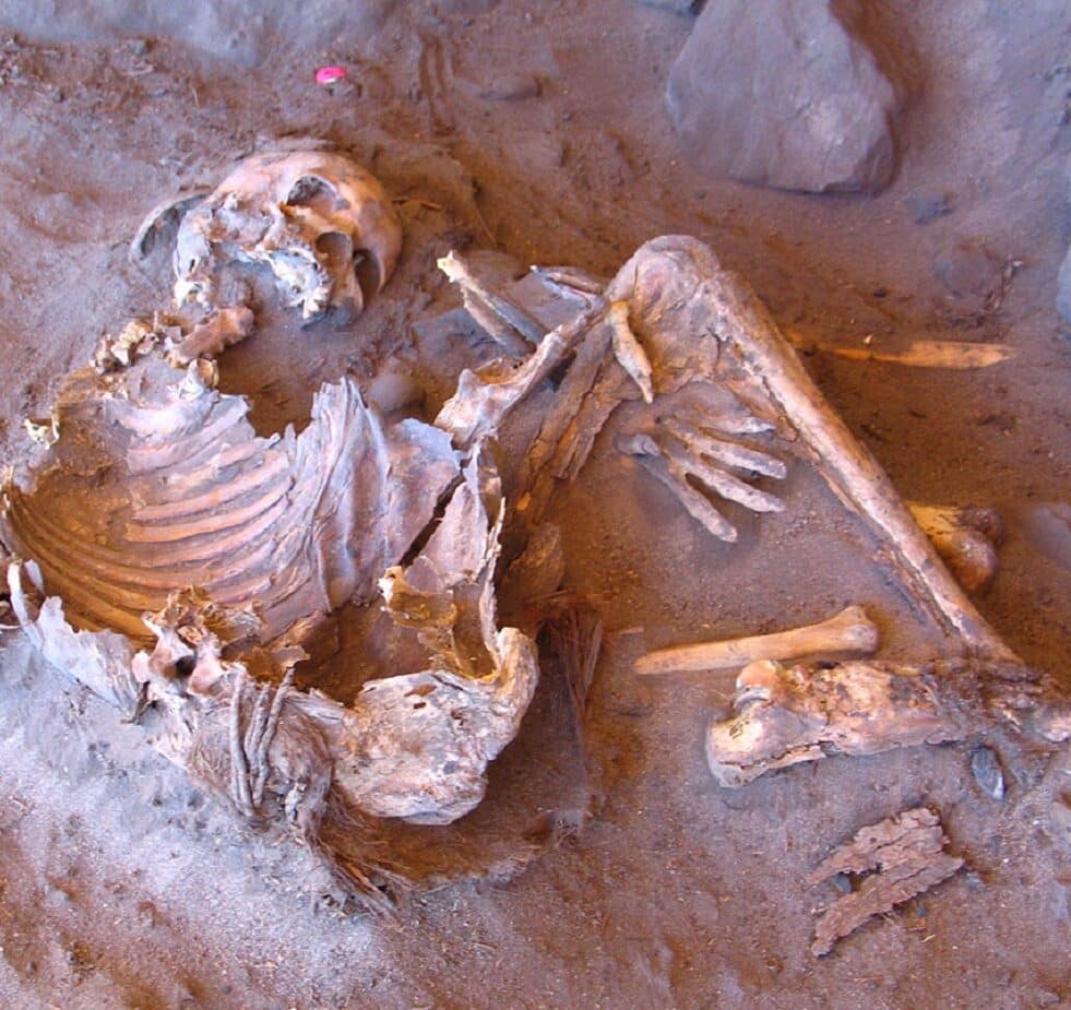 Des momies vieilles de 7 000 ans éclairent sur l'histoire génétique d'un peuple oublié