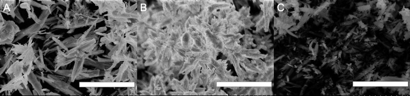 gadolinium IRM
