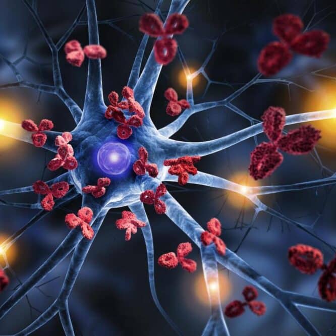 maladies auto immunes traitement revolutionnaires