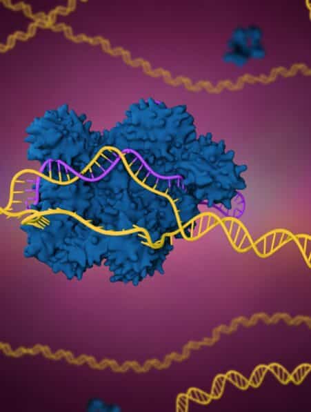 therapie crispr cholesterol permanent