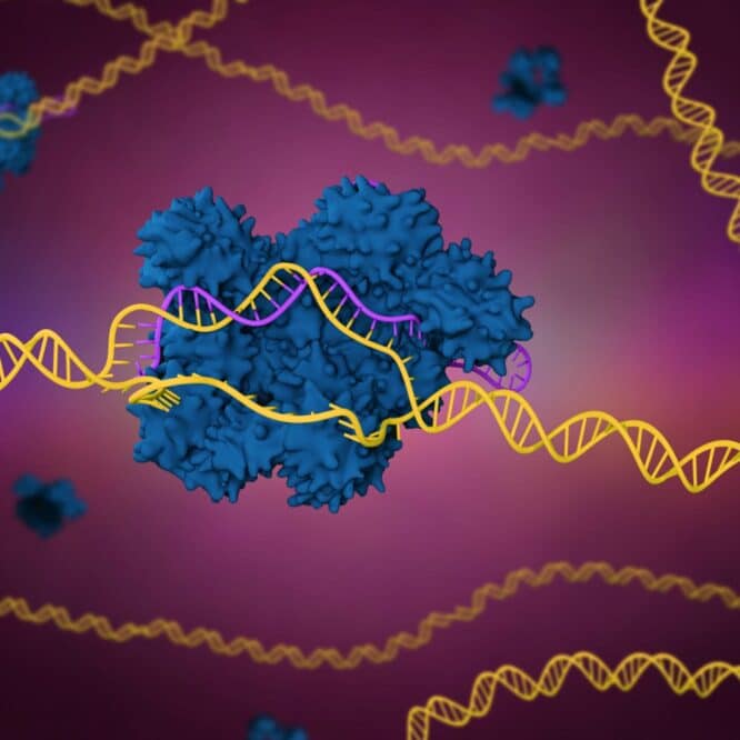therapie crispr cholesterol permanent