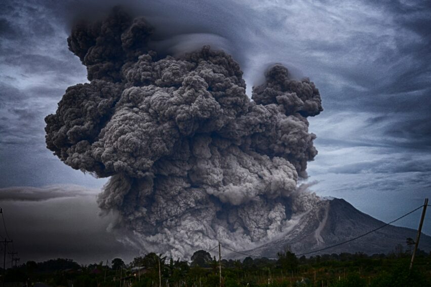 arbres eruptions volcans