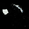 iceberg fragmentation faune