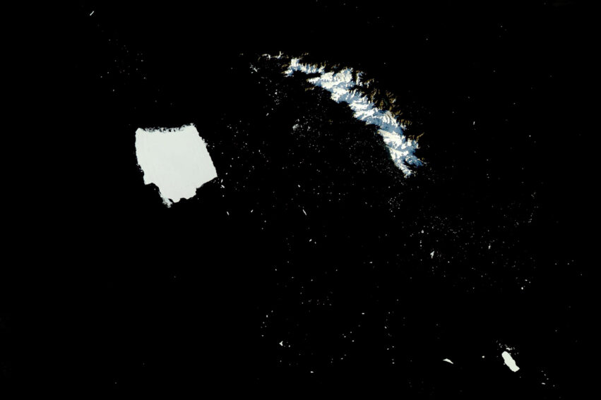 iceberg fragmentation faune
