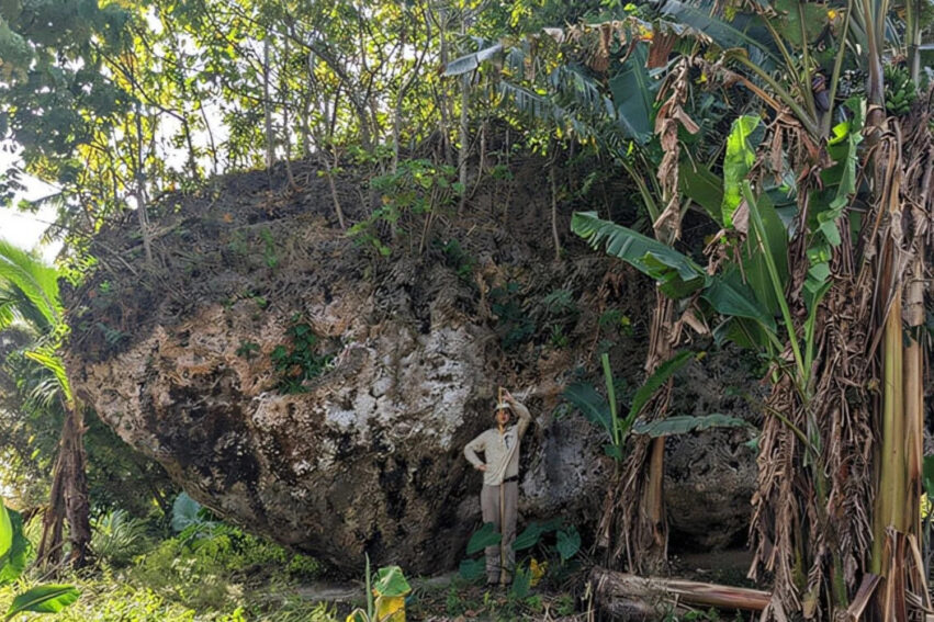 rocher tsunami tonga