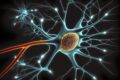 alzheimer somnifere neurodegenerescence