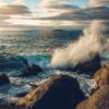 limite acidification oceans franchie