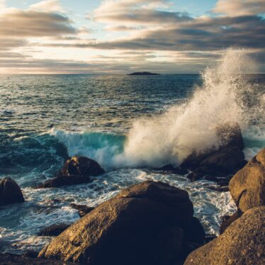 limite acidification oceans franchie