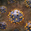 mpox variole singe sierra leone