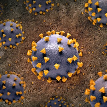 mpox variole singe sierra leone
